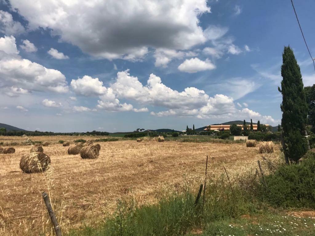 Agriturismo Colle D' Oro ペーシャ・ロマーナ エクステリア 写真